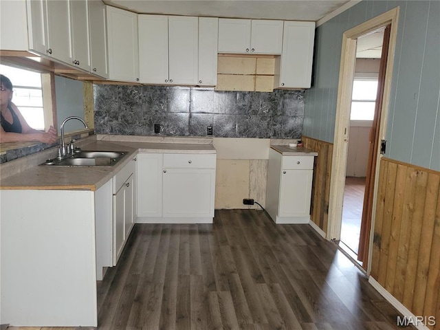 35 Marler Dr, Wappapello, MO 63966 - kitchen featuring a sink, dark wood-style floors, white cabinetry, a wainscoted wall, and wooden walls