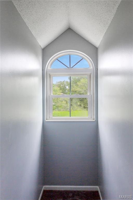 809 Star Ridge Ct, Defiance, MO 63341 - unfurnished room with lofted ceiling and a textured ceiling