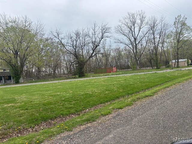 307 Sandbach, Worden, IL 62097 - photo 5
