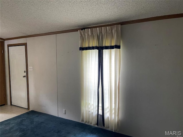 307 Sandbach, Worden, IL 62097 - photo 9