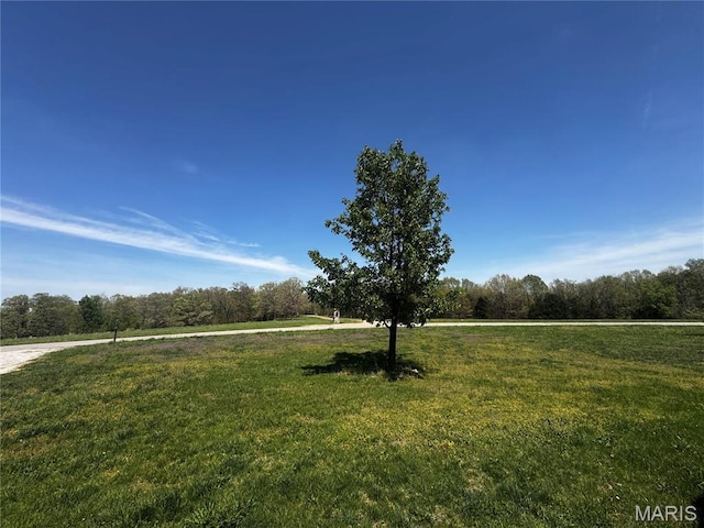 18410 Charity Dr, Dixon, MO 65459 - view of green lawn with a wooded view