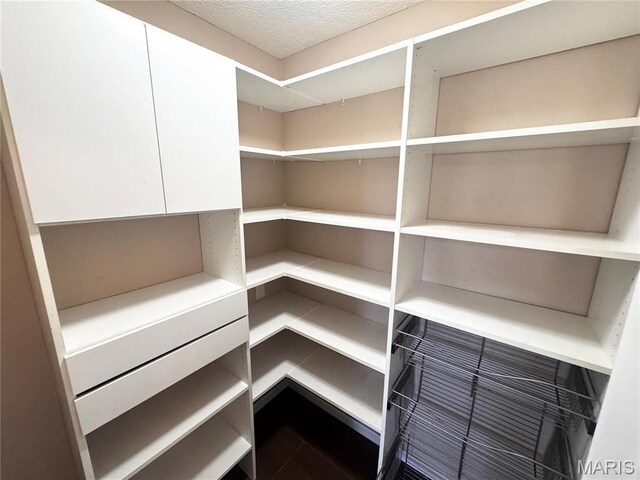 18410 Charity Dr, Dixon, MO 65459 - view of pantry