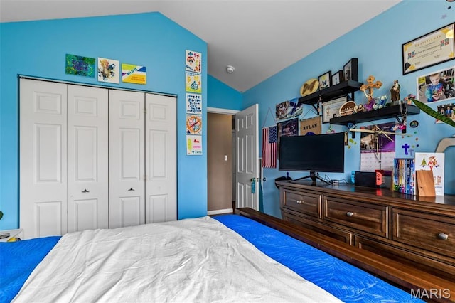 790 Isabella Ct, Farmington, MO 63640 - bedroom featuring lofted ceiling and a closet