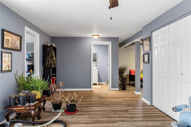 790 Isabella Ct, Farmington, MO 63640 - hall with wood finished floors and baseboards