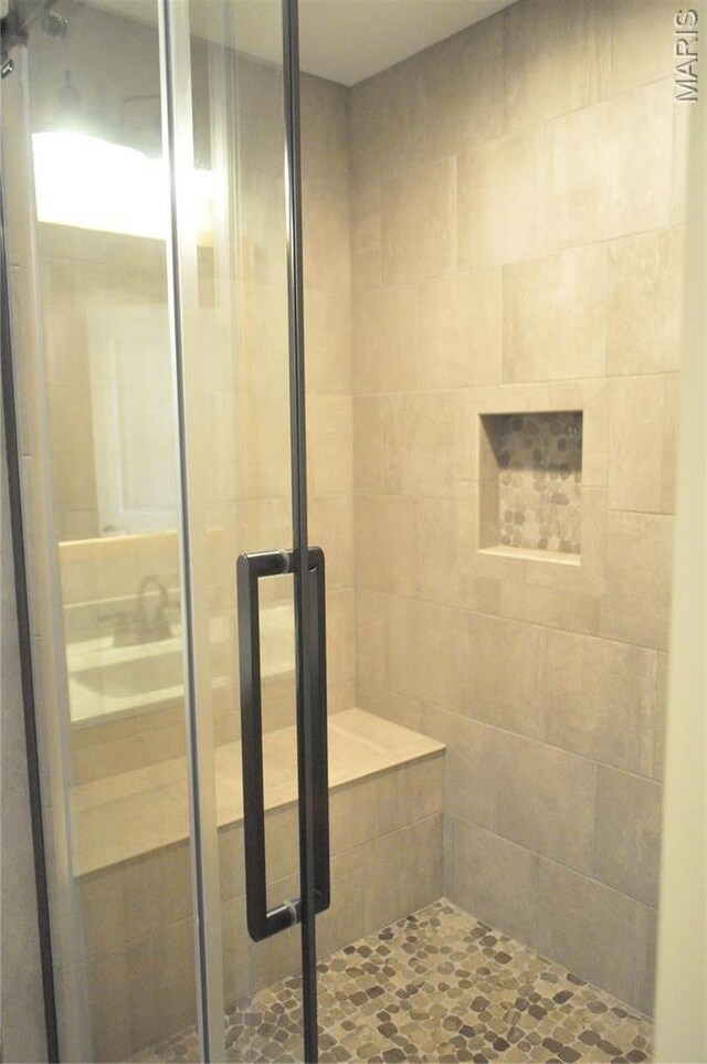 869 Destiny Dr, Villa Ridge, MO 63089 - full bathroom with a stall shower