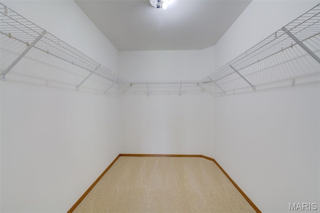 7 Park City Ct, Ofallon, MO 63368 - spacious closet with carpet flooring