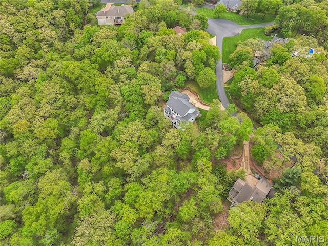 3856 Rooster Ridge Ln, Defiance, MO 63341 - photo 45
