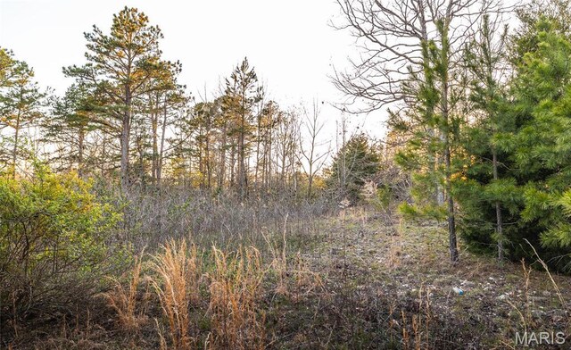 0 Sargent Rd, Cabool, MO 65689