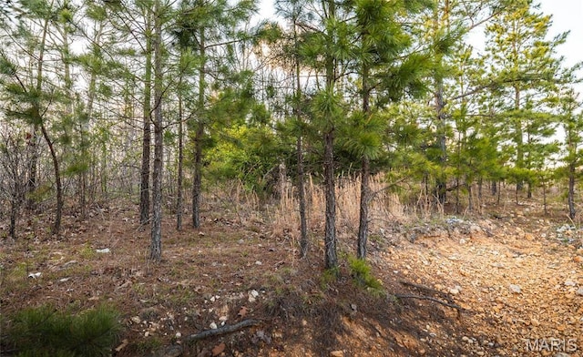 0 Sargent Rd, Cabool, MO 65689
