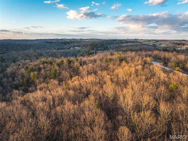 0 Sargent Rd, Cabool, MO 65689