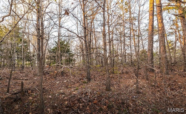 0 Sargent Rd, Cabool, MO 65689