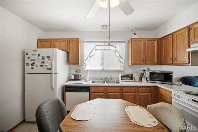 13011 Mystic Bend Ln, Black Jack, MO 63033 - kitchen featuring white appliances, a sink, a ceiling fan, light countertops, and light wood finished floors