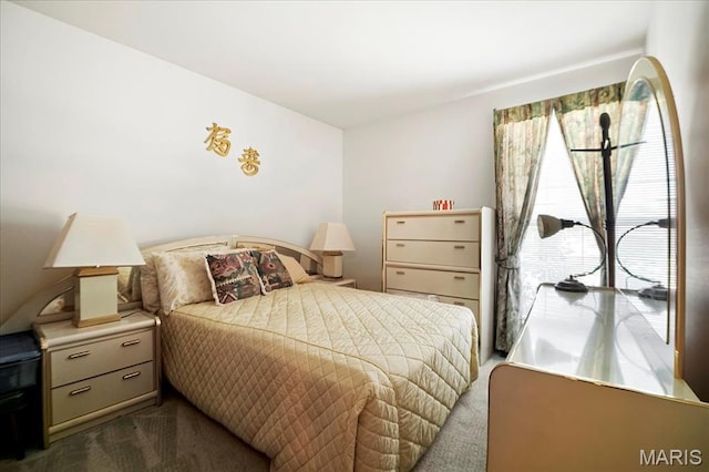 13011 Mystic Bend Ln, Black Jack, MO 63033 - bedroom featuring dark colored carpet