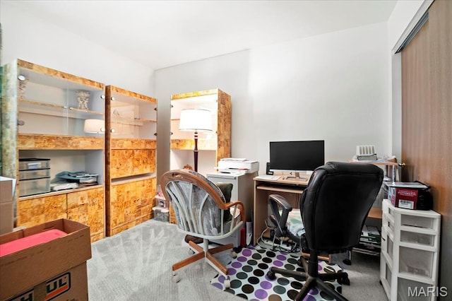 13011 Mystic Bend Ln, Black Jack, MO 63033 - home office featuring carpet