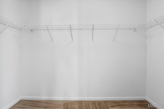 spacious closet with carpet