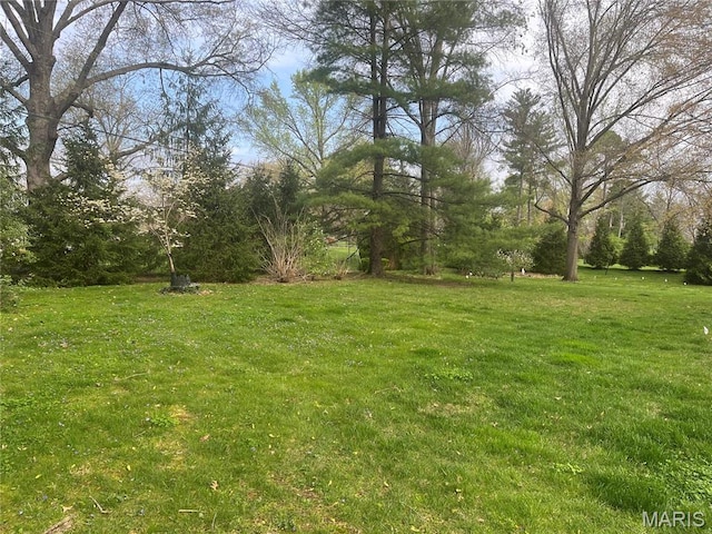 1843 Manor Hill Rd, Saint Louis, MO 63131 - view of green lawn