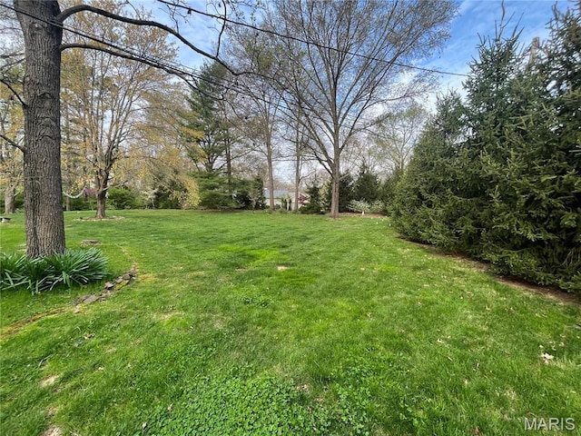1843 Manor Hill Rd, Saint Louis, MO 63131 - view of green lawn