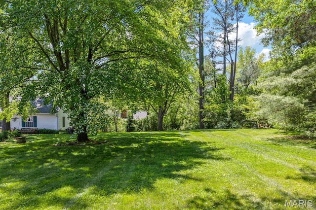 1843 Manor Hill Rd, Saint Louis, MO 63131 - view of green lawn