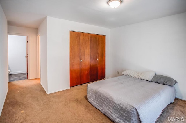 26152 Beltrees Rd, Dow, IL 62022 - bedroom featuring carpet floors and a closet