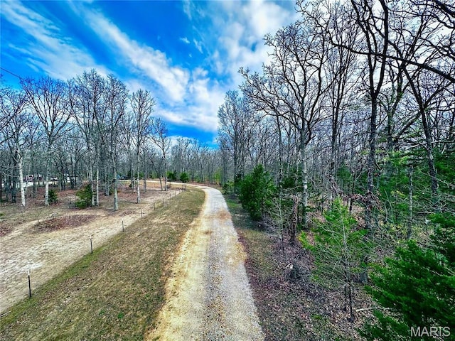 127 Kehner Rd, Steelville, MO 65565 - view of street