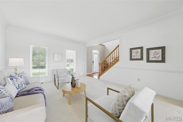 living area featuring crown molding, stairway, and carpet flooring
