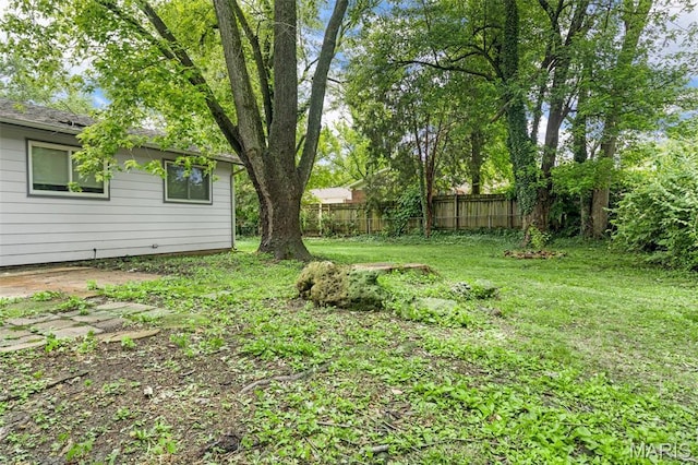 1455 Burnside Ct, Florissant, MO 63031 - view of yard