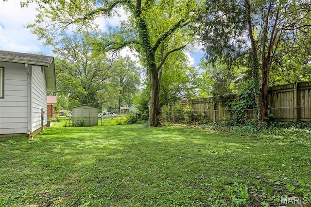 1455 Burnside Ct, Florissant, MO 63031 - view of yard