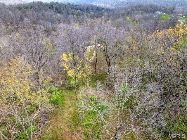 bird's eye view of a forest