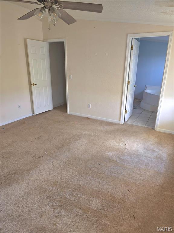 1026 Washington County Line Rd, Marissa, IL 62257 - photo 27