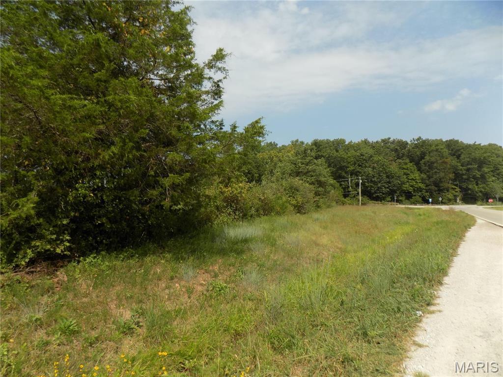 2100 S S Hwy E, Ironton, MO 63650 - photo 3