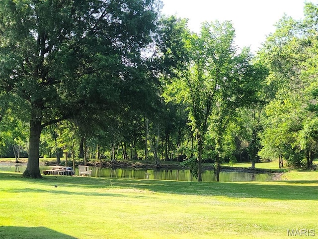 111 SE St, Wellsville, MO 63384 - view of home's community with a lawn and a water view