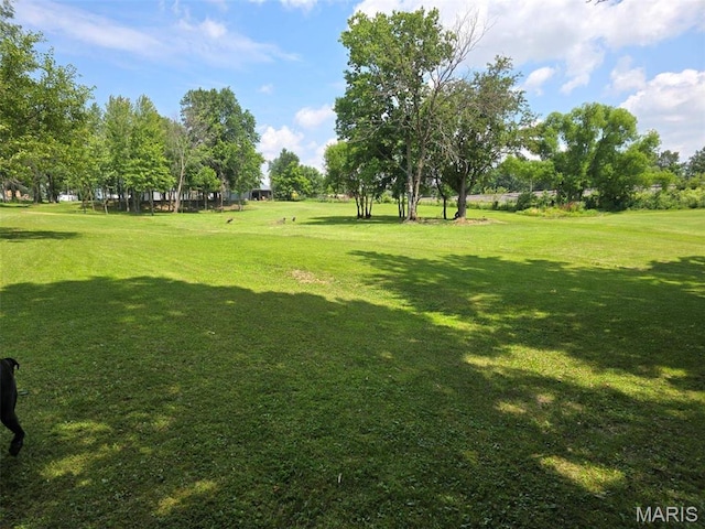 111 SE St, Wellsville, MO 63384 - view of grassy yard