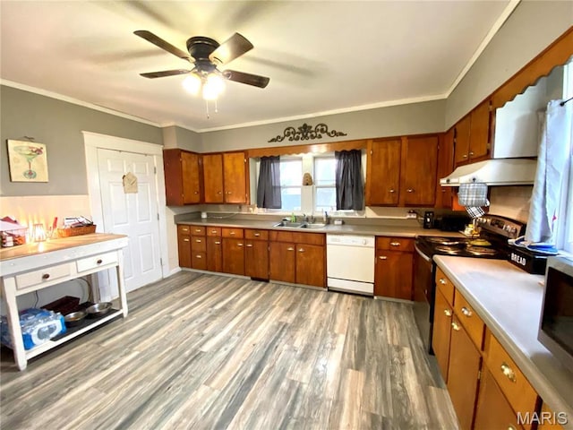 111 SE St, Wellsville, MO 63384 - kitchen with dishwasher, electric range, under cabinet range hood, brown cabinetry, and a sink