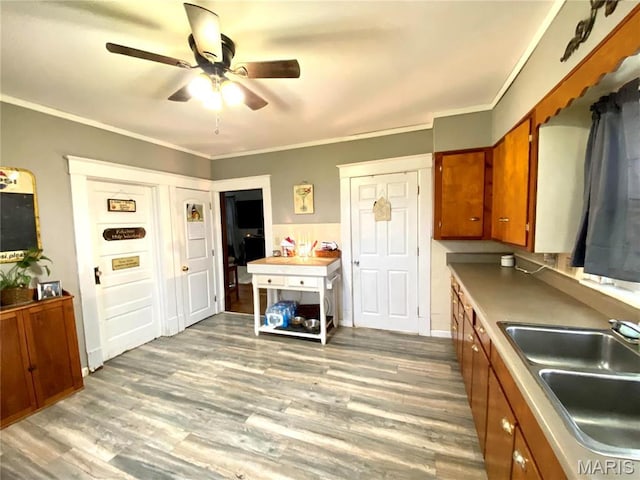 111 SE St, Wellsville, MO 63384 - kitchen with brown cabinets, a sink, a ceiling fan, wood finished floors, and crown molding