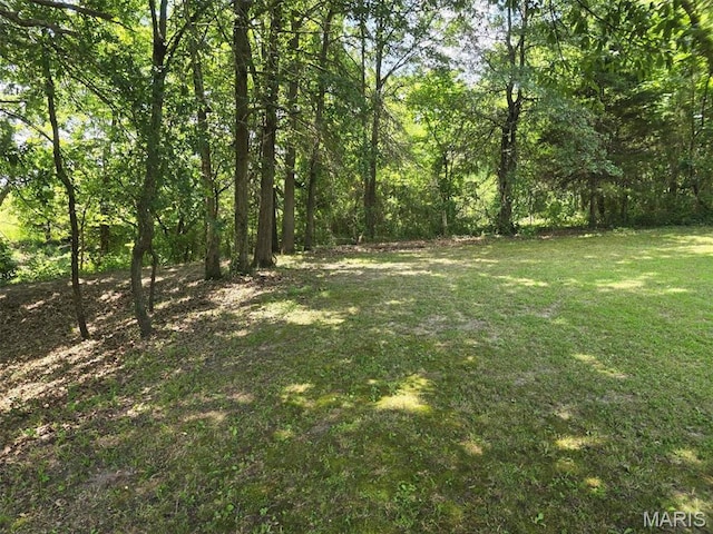 111 SE St, Wellsville, MO 63384 - view of green lawn featuring a view of trees