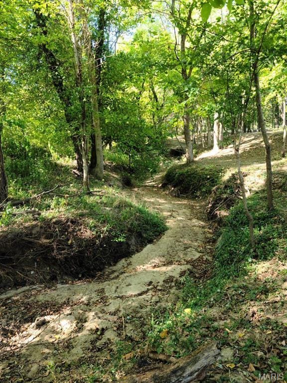 111 SE St, Wellsville, MO 63384 - view of local wilderness