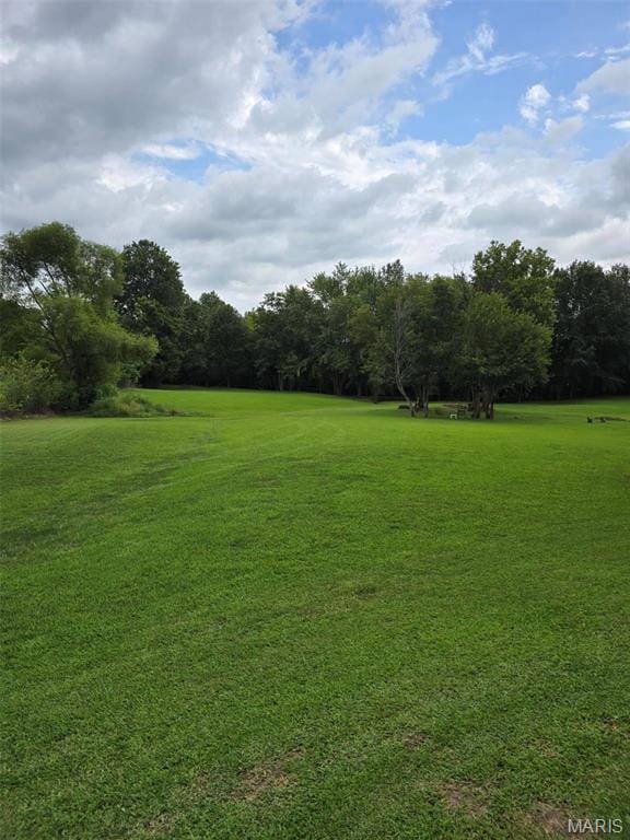 111 SE St, Wellsville, MO 63384 - view of grassy yard