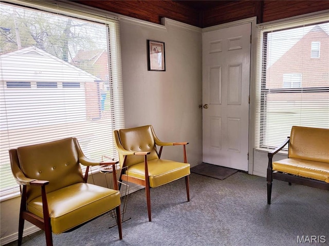 8303 Knollwood Dr, Saint Louis, MO 63121 - sitting room featuring carpet and plenty of natural light