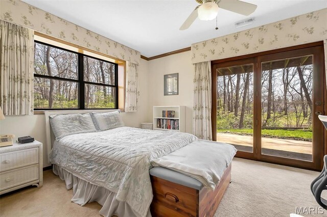 14 Fox Valley Dr, Lake St Louis, MO 63367 - photo 29