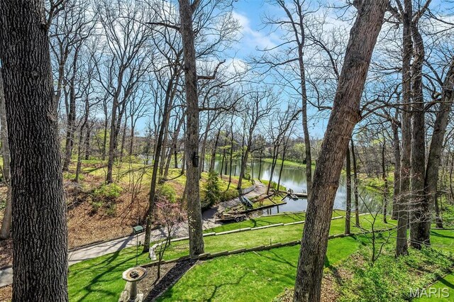 14 Fox Valley Dr, Lake St Louis, MO 63367 - photo 36