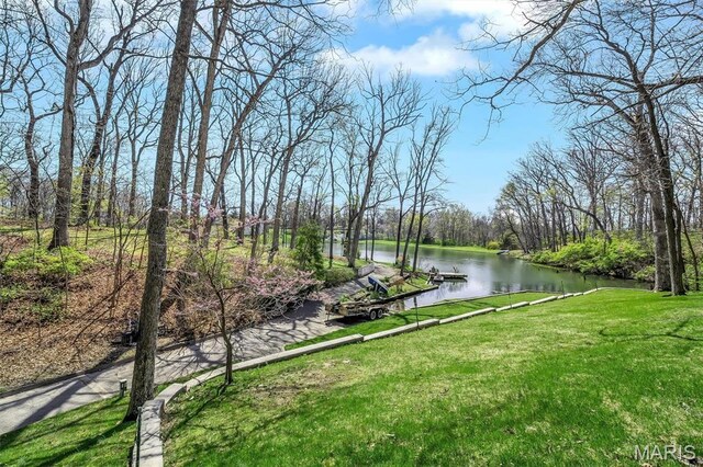 14 Fox Valley Dr, Lake St Louis, MO 63367 - photo 45