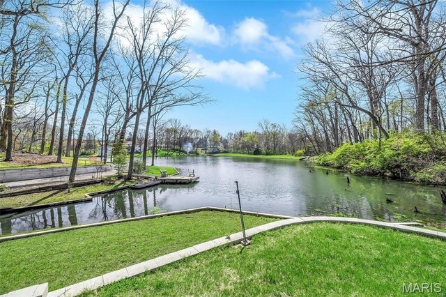 14 Fox Valley Dr, Lake St Louis, MO 63367 - photo 46