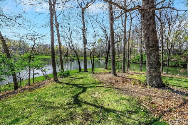 14 Fox Valley Dr, Lake St Louis, MO 63367 - photo 67