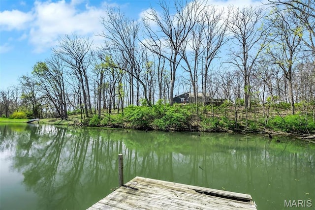 14 Fox Valley Dr, Lake St Louis, MO 63367 - photo 70