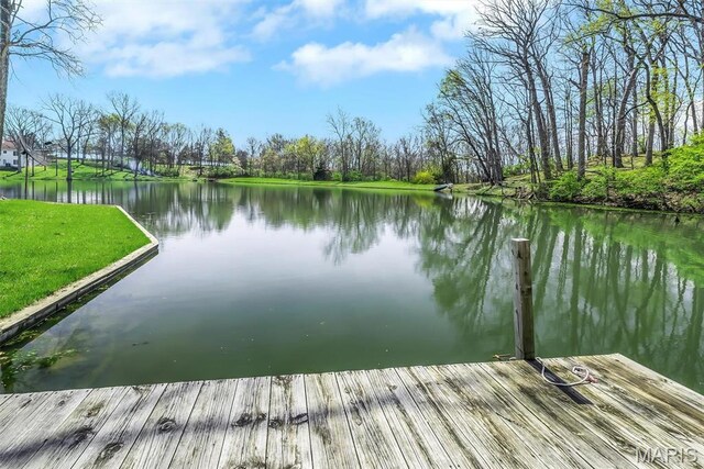 14 Fox Valley Dr, Lake St Louis, MO 63367 - photo 71