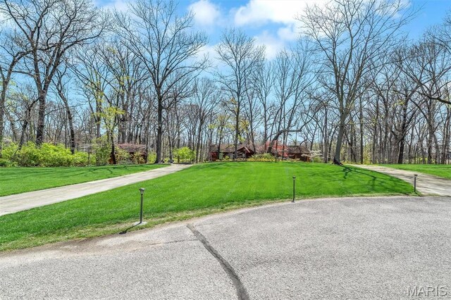 14 Fox Valley Dr, Lake St Louis, MO 63367 - photo 76