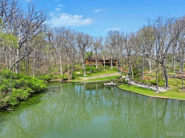 14 Fox Valley Dr, Lake St Louis, MO 63367 - photo 86