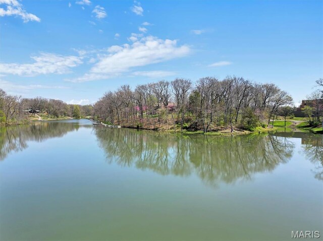 14 Fox Valley Dr, Lake St Louis, MO 63367 - photo 87