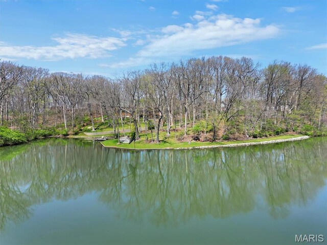14 Fox Valley Dr, Lake St Louis, MO 63367 - photo 88