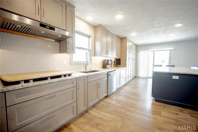 5826 Grandview Ter, Waterloo, IL 62298 - kitchen with under cabinet range hood, stainless steel dishwasher, a sink, tasteful backsplash, and light wood finished floors